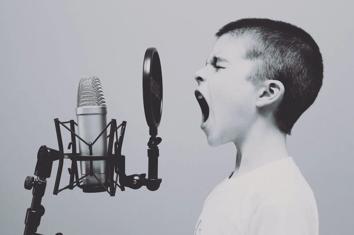 Speak up, stand out: crafting your brand's unique voice